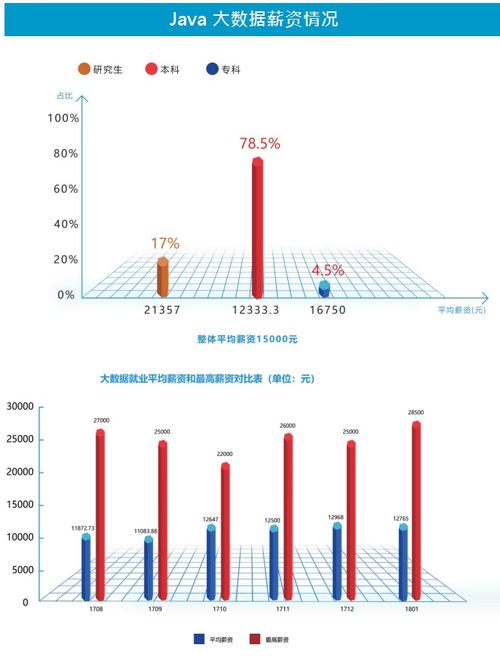Java大数据开发工程师实战指南 从代码到服务化部署